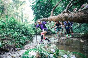 BIB: 
                            <button type="button" onclick="openModal(25452048)" class="btn btn-primary btn-sm float-right btn-popup" data-toggle="modal" data-target=".modal-high-quality">
                        <i class="fas fa-shopping-cart"></i> Add to Cart
                    </button>
                                            <button type="button" onclick="isThisMe(25452048, true)" class="btn btn-success btn-sm float-right btn-popup btn-isme hidden" data-toggle="tooltip" data-placement="bottom" title="นี่คือรูปของคุณใช่ไหม คลิกที่นี่เพื่อเอาเข้าอัลบั้ม">
                        <i class="fas fa-plus"></i> Add to album
                    </button>
                    <button type="button" onclick="isThisMe(25452048, false)" class="btn btn-warning btn-sm float-right btn-popup btn-isnotme hidden">
                        <i class="fas fa-ban"></i> Remove from album
                    </button>